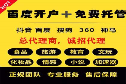 某零售业SEM策略调整，实现销售业绩大增